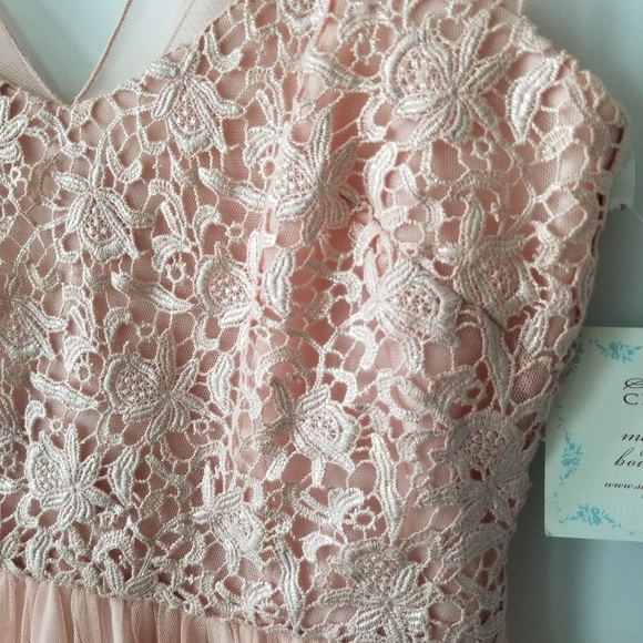 new Suzi Chin Maggy Boutique Formal Pink Chiffon Dress - Picture 6 of 11